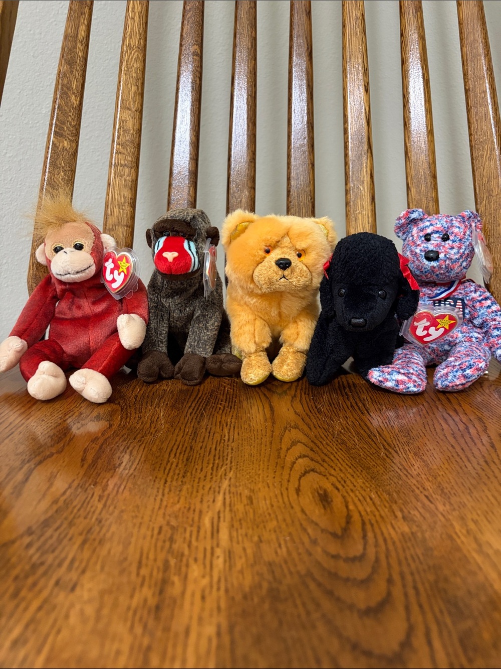 Lot of 5 Beanie Babies Plush Collection Set